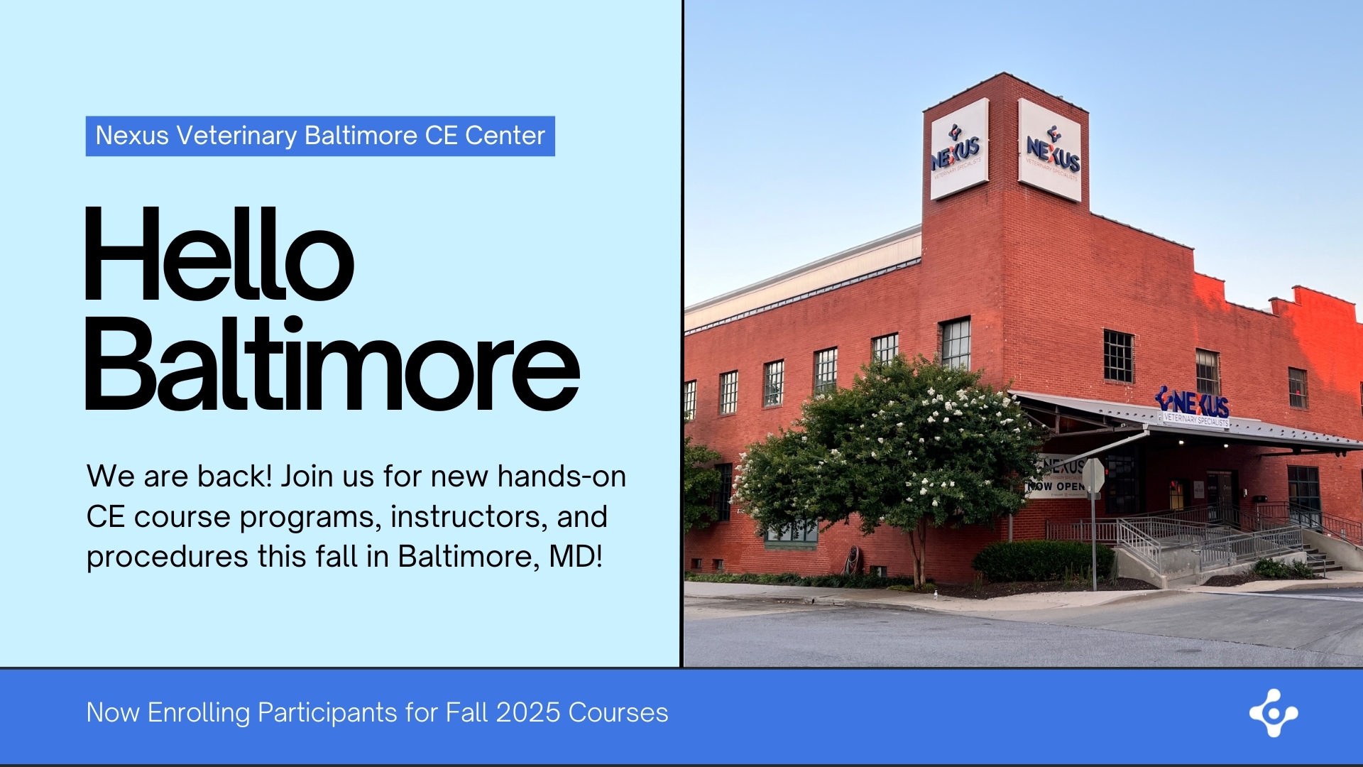 Hello Baltimore