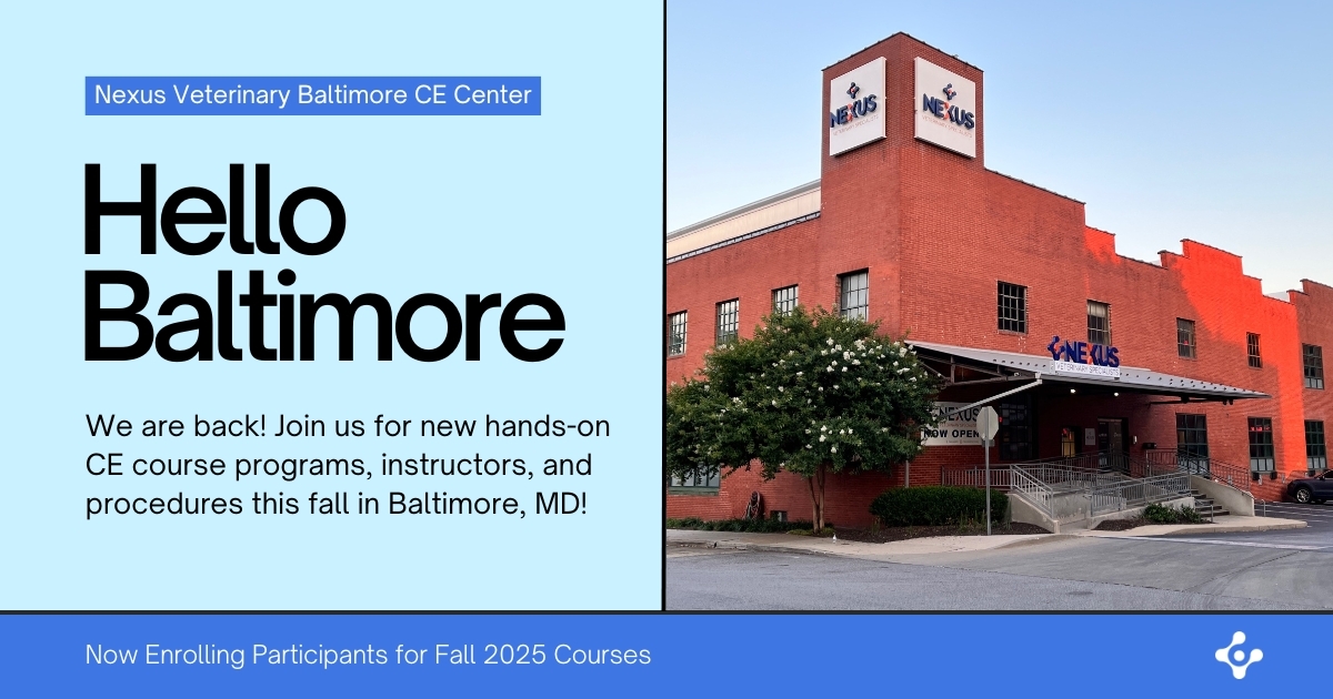 Hello Baltimore