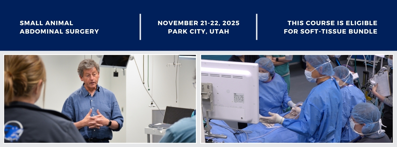 Small Animal Abdominal Surgery (November 2025)