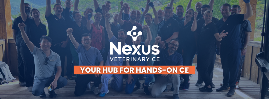 Welcome to Nexus Veterinary CE, your home for hands-on continuing education courses. Learn more about our orthopedic and soft-tissue surgery CE courses, covering your patients from nose to tail!